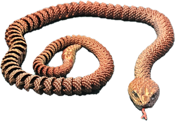 Articulating Rattlesnake