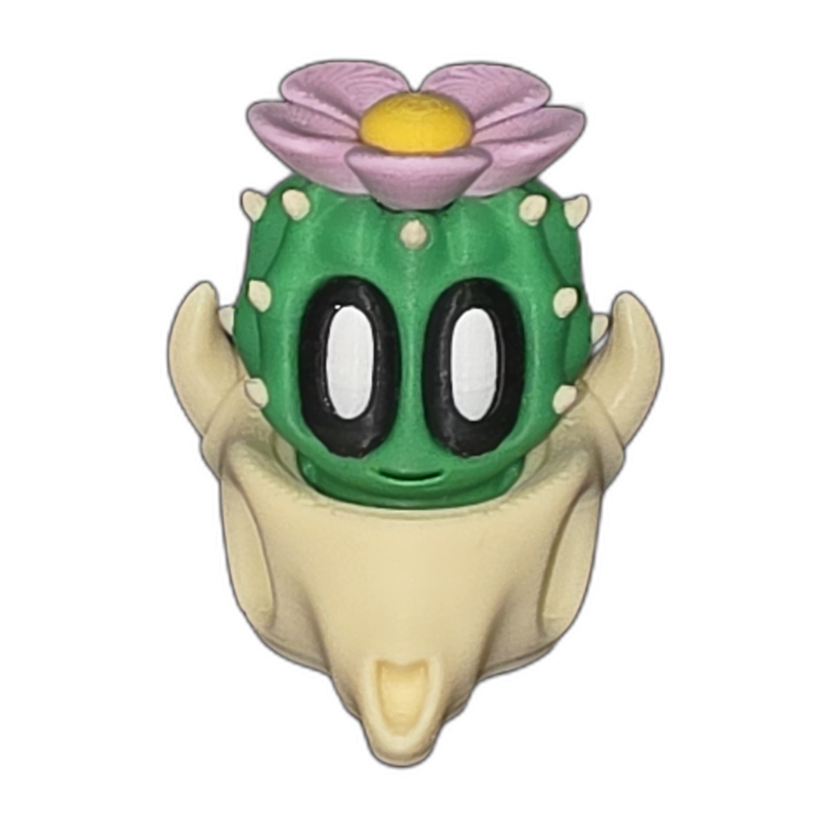 Blooming Flower Cactus Skull Planter