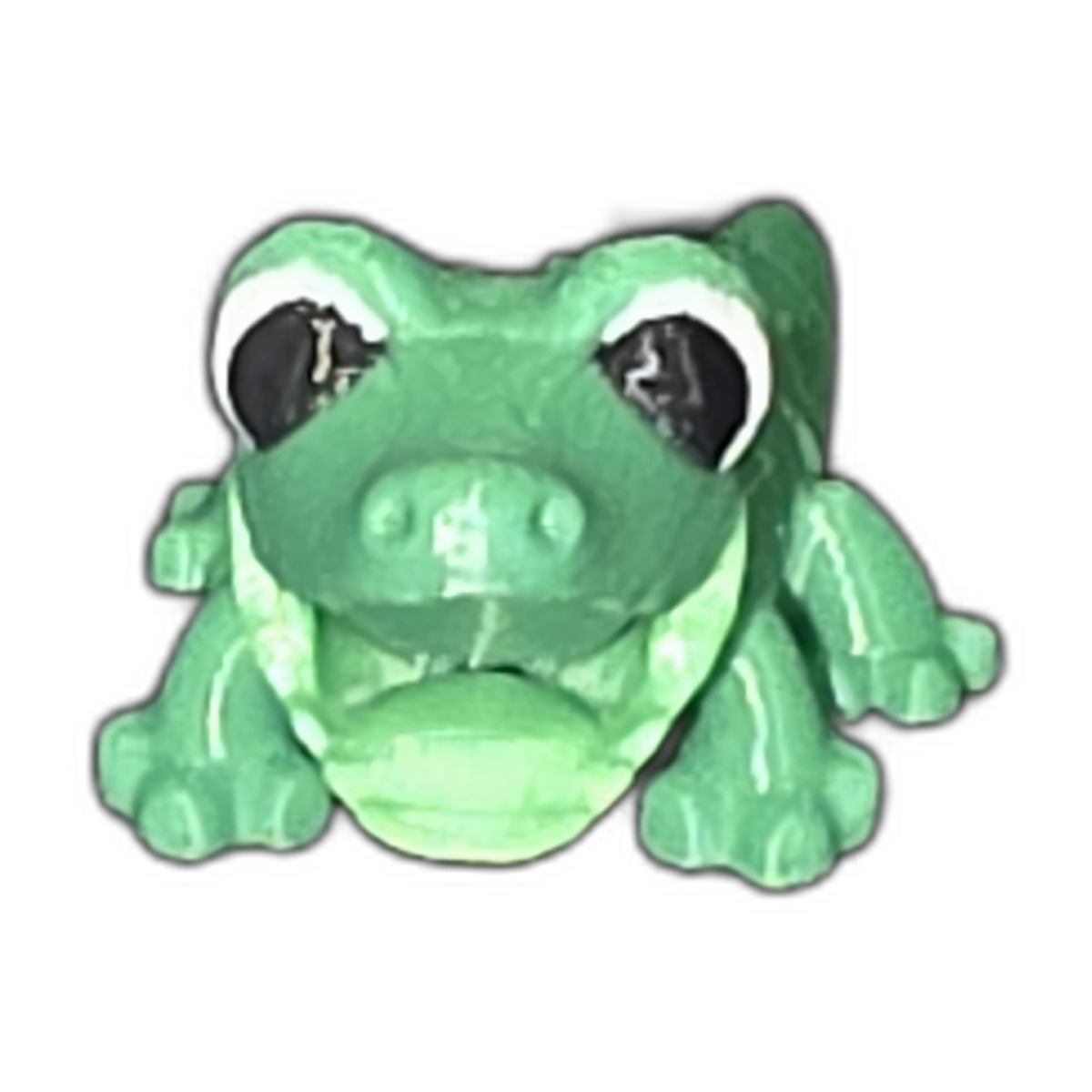 Mini - Frog 3D Printed Fidget Angle 1