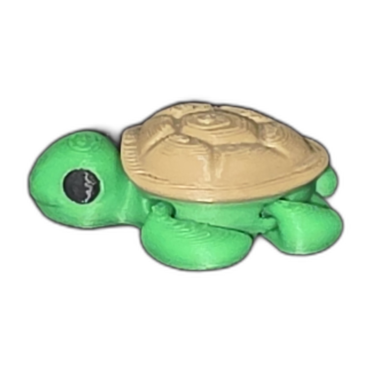 Mini - Turtle 3D Printed Fidget Angle 2
